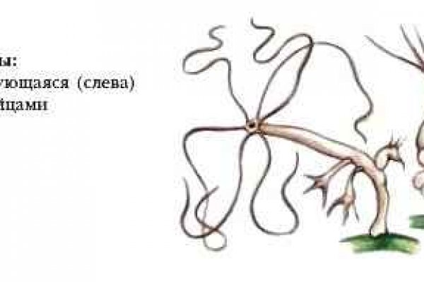 Kra31.at