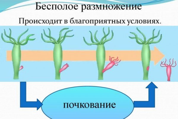 Кракен маркетплейс купить порошок