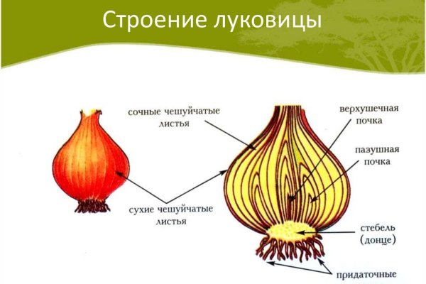 Заказать даркнет